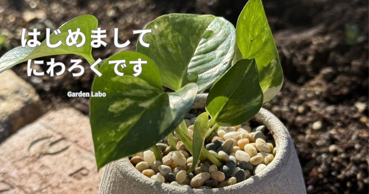 庭の鉢植え植物とGarden Laboのブログ自己紹介アイキャッチ