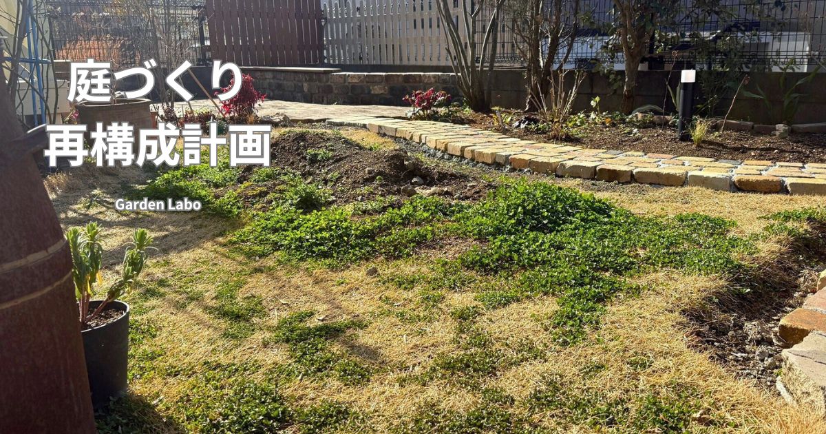 これから再構成しようとしている庭全体