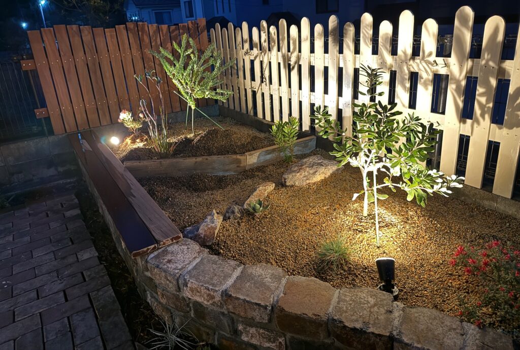 レイズドベッドに植栽したオージープランツをライトアップしている夜の様子