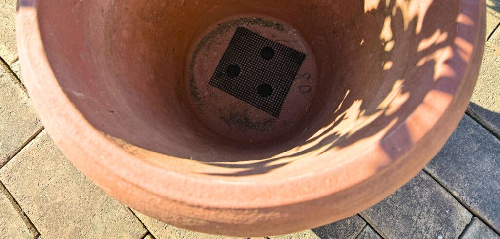 ユーカリの植え替えで鉢底ネットを敷いた鉢の底