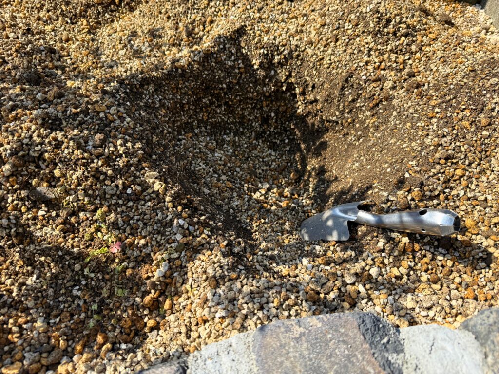 グレビレアの植え付け穴と水はけを意識した土壌の状態
