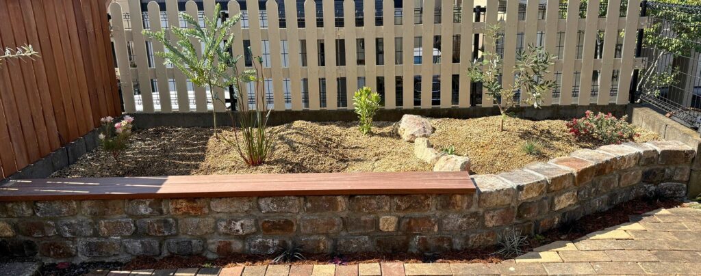 ジョーイセルリア プリティピンクの植え付け位置 レイズドベッド全体