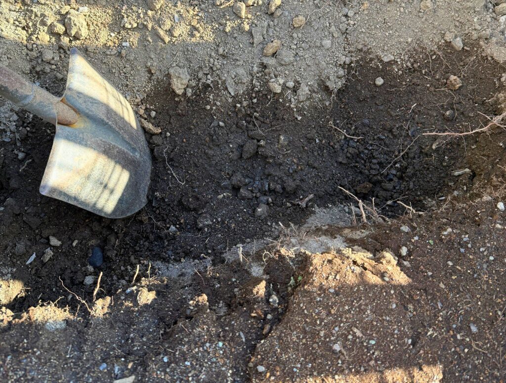 レイズドベッドの土壌改良で約40cm掘り下げている作業