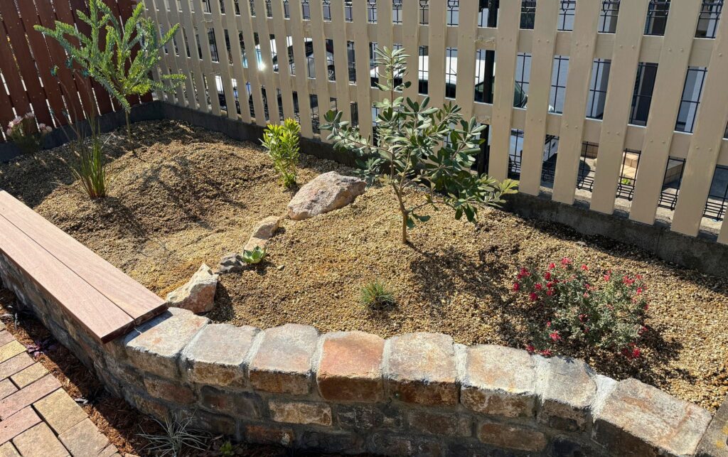 レイズドベッドに植え付けたバンクシアコーストとオージープランツの全体レイアウト