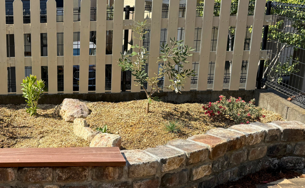 バンクシアコーストを地植えしたレイズドベッド全体の様子