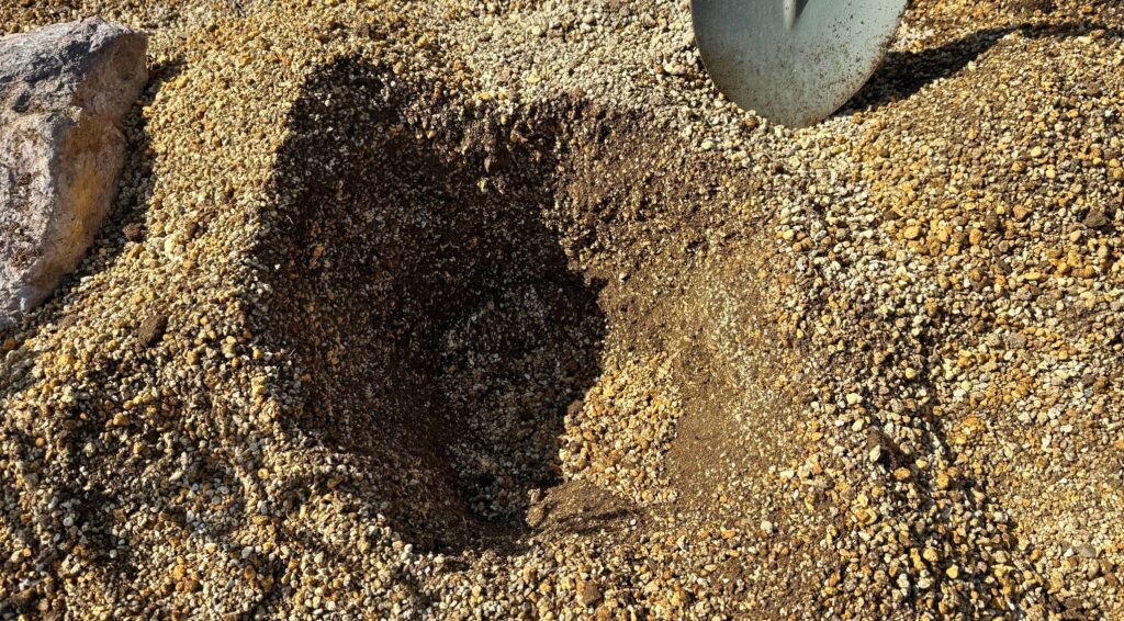 レイズドベッドに掘った植え穴と排水性のある土壌