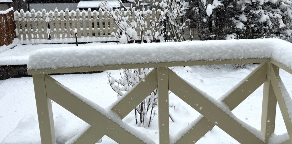 2026年2月8日、庭の積雪の様子