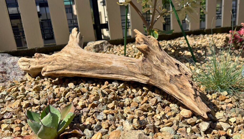 レイズドベッドに流木を配置したガーデンレイアウト