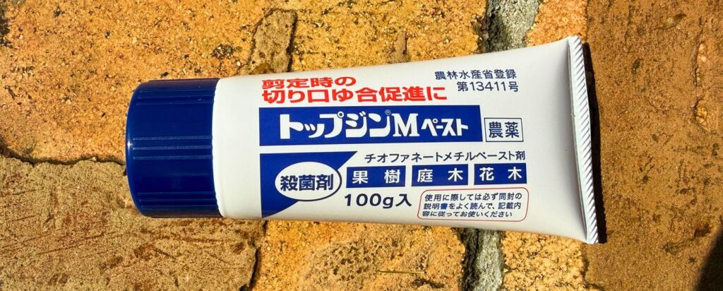 トップジンペーストを使った剪定後の切り口保護用殺菌剤